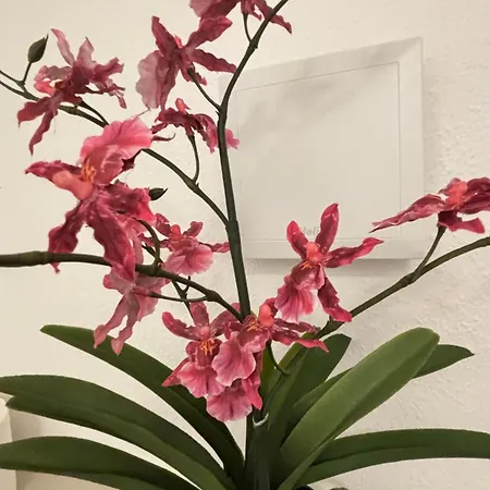 Modernes Am Mit Garten Lägenhet *